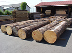 TIMBER LUMBER