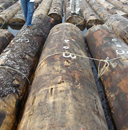 TIMBER LUMBER