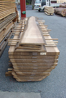 TIMBER LUMBER