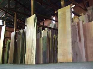 TIMBER LUMBER