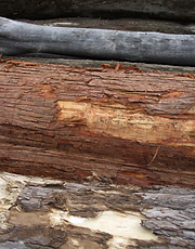 TIMBER LUMBER
