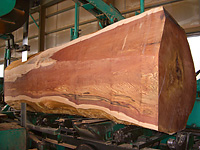 TIMBER LUMBER