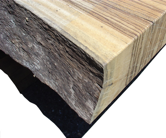TIMBER LUMBER