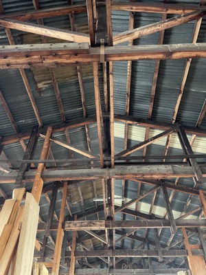 IMG_4492.JPEG