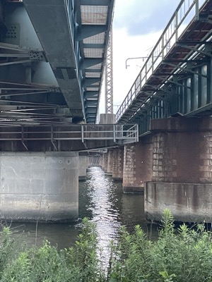 IMG_5147.JPEG